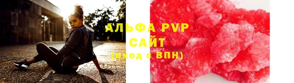 PSILOCYBIN Бородино