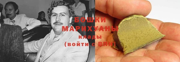 бошки Бронницы