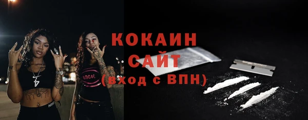 бошки Бронницы