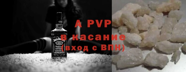 PSILOCYBIN Бородино