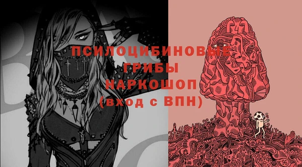 PSILOCYBIN Бородино