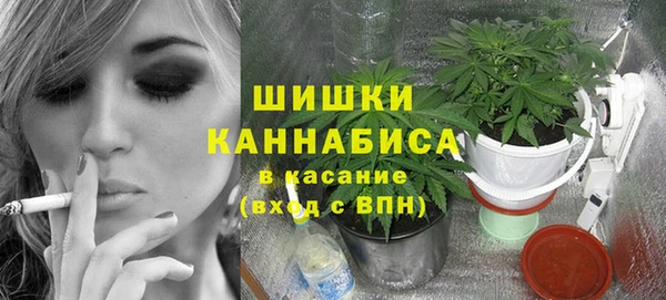 бошки Бронницы