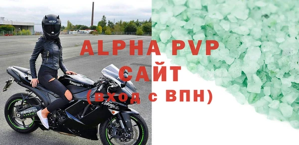PSILOCYBIN Бородино