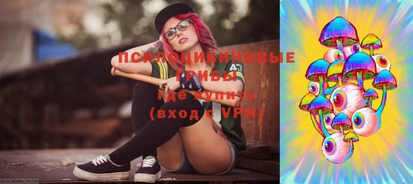 PSILOCYBIN Бородино