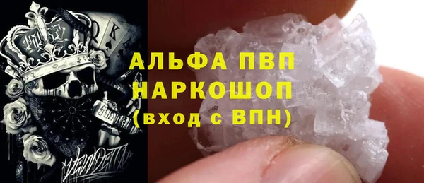 PSILOCYBIN Бородино